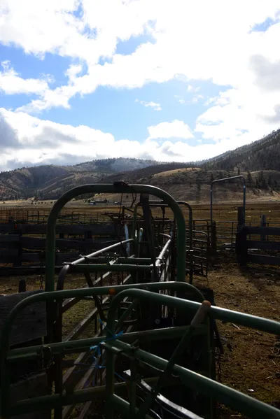 DSC_2897 (Large).JPG